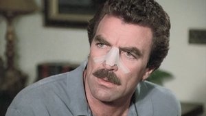 Magnum Stát versus Orville Wright