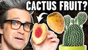 Good Mythical Morning 28. epizoda