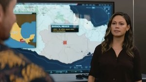 NCIS: Hawaiʻi 8. epizoda