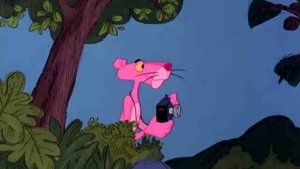 The Pink Panther 27. epizoda