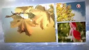 Moterys meluoja geriau 65. epizoda