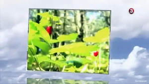 Moterys meluoja geriau 7. epizoda