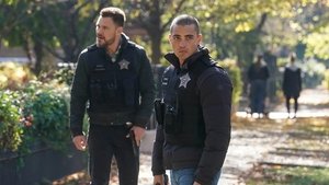 Policie Chicago 10. epizoda