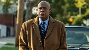 Godfather of Harlem 8. epizoda