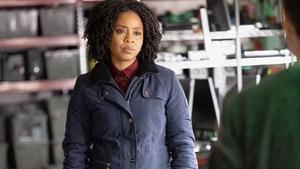 Law & Order: Organized Crime 15. epizoda