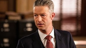 Zákon a pořádek: Útvar pro zvláštní oběti Mateřská láska