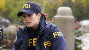 FBI 16. epizoda