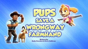 Tlapková patrola Tlapky zachraňují popleteného farmářského pomocníka