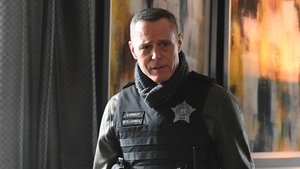 Policie Chicago 21. epizoda