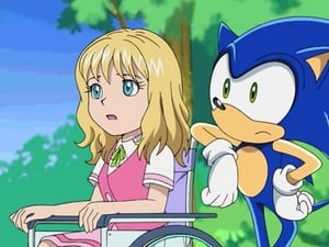 Sonic X 14. epizoda