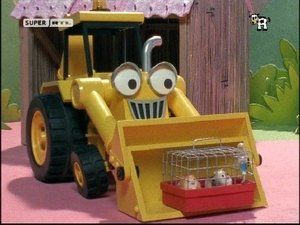 Bořek stavitel Pan Okurka a morčata