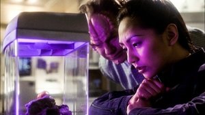 Star Trek: Enterprise Bojuj nebo uteč