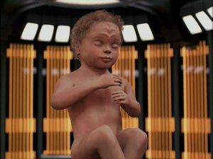 Star Trek: Voyager Rodokmen