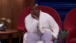 Big Brother 11. epizoda