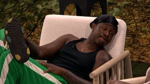Big Brother 17. epizoda