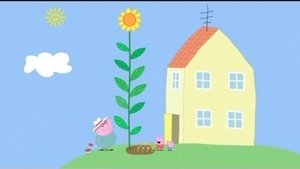 Prasátko Peppa Pepiny a Tomíkovy záhonky
