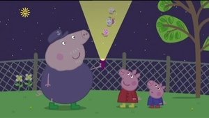 Prasátko Peppa Noční zvířátka