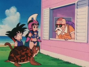 Dragon Ball 8. epizoda