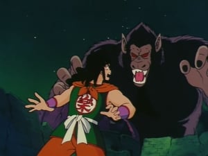 Dragon Ball 13. epizoda