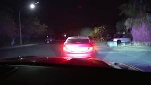 Cops 18. epizoda