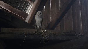 Ghosts 1. epizoda