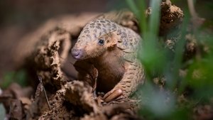 Nature 7. epizoda