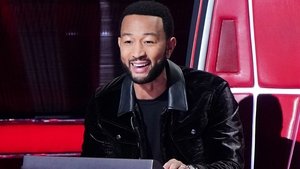 The Voice 20. epizoda