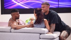 Big Brother 14. epizoda