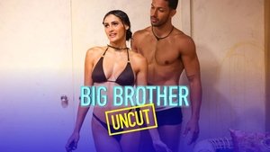 Big Brother 15. epizoda