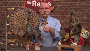 Bares für Rares 60. epizoda
