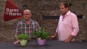 Bares für Rares 74. epizoda