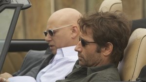 Californication Dogtown
