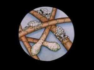 Beavis and Butt-Head 9. epizoda