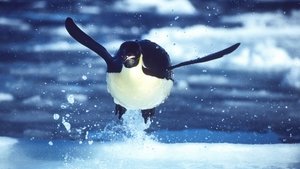 Modrá planeta - Historie oceánů Zamrzlá moře
