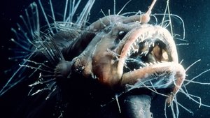 Modrá planeta - Historie oceánů Hlubiny