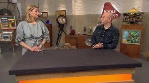Bares für Rares 208. epizoda