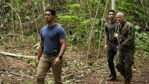 NCIS: Hawaiʻi 7. epizoda