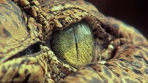 Nature 7. epizoda