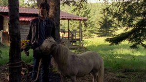 Ranč Heartland 8. epizoda