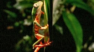 Nature 15. epizoda