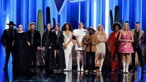 The Voice 17. epizoda