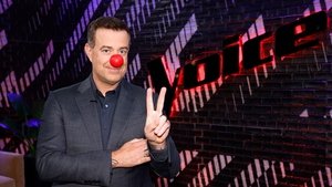 The Voice 20. epizoda