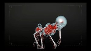 1000 Ways to Die 28. epizoda