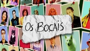 A Grande Família 23. epizoda