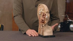 Bares für Rares 110. epizoda