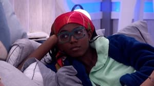 Big Brother 20. epizoda