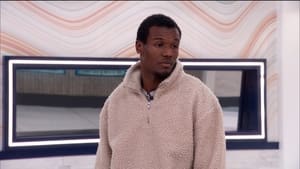 Big Brother 37. epizoda