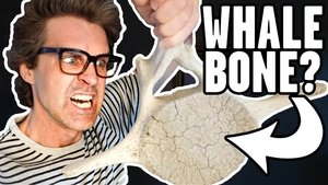 Good Mythical Morning 82. epizoda