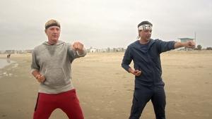 Cobra Kai Regenerovaný machr
