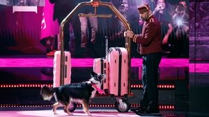 Amerika má talent 10. epizoda